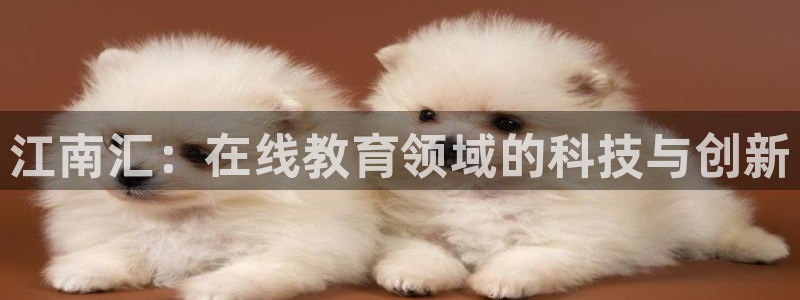 新航佳苑娱乐：江南汇：在线教育领域的科技与创新