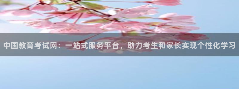 中国新航娱乐在哪个平台：中国教育考试网：一站式服务平台，助力