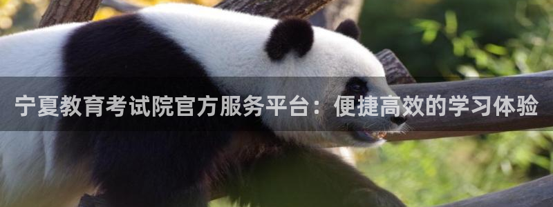 餐饮娱乐新航向：宁夏教育考试院官方服务平台：便捷高效的学习体