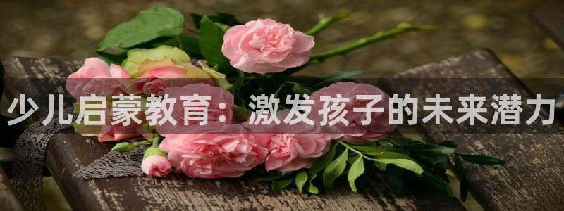 新航娱乐的创始人简介：少儿启蒙教育：激发孩子的未来潜力