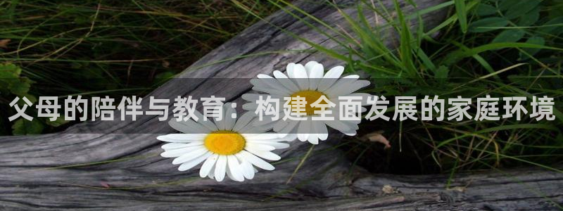 新航娱乐公司简介：父母的陪伴与教育：构建全面发展的家庭环境