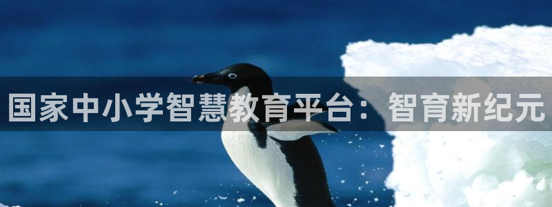 新航娱乐app官方下载：国家中小学智慧教育平台：智育新纪元