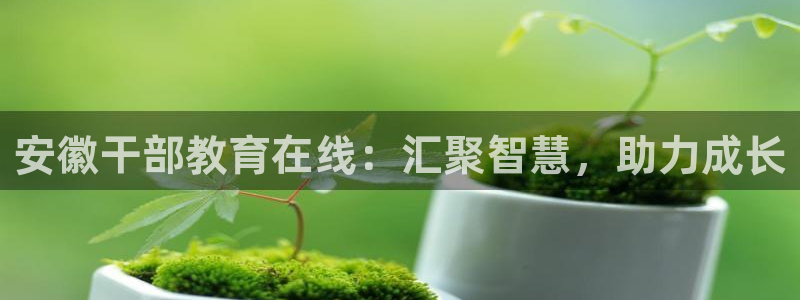 新航娱乐系统设置：安徽干部教育在线：汇聚智慧，助力成长