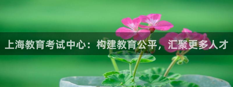 德阳娱乐城最新航拍：上海教育考试中心：构建教育公平，汇聚更多