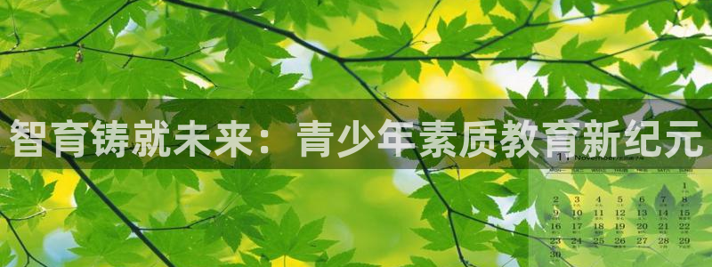 中国新航娱乐平台官网：智育铸就未来：青少年素质教育新纪元