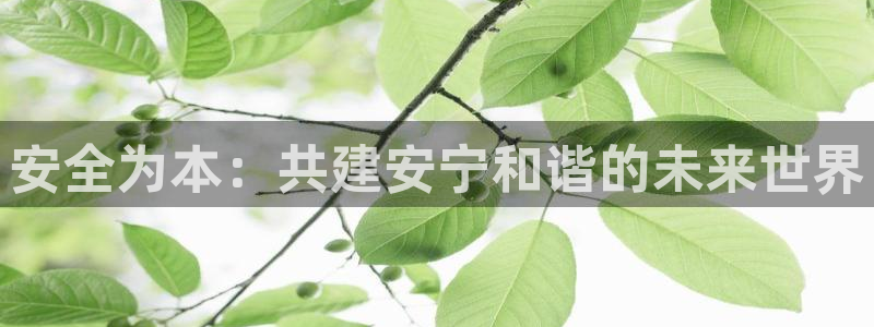 新航虚拟娱乐：安全为本：共建安宁和谐的未来世界