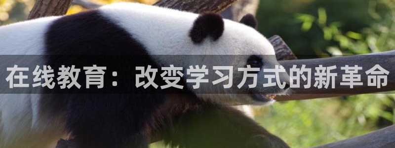 新航足浴娱乐会所：在线教育：改变学习方式的新革命