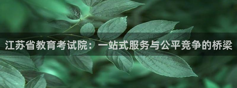 新航娱乐设施：江苏省教育考试院：一站式服务与公平竞争的桥梁