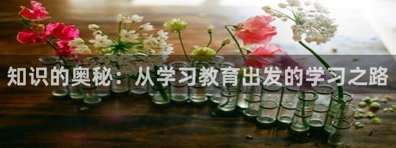 新航海娱乐会所怎么样：知识的奥秘：从学习教育出发的学习之路