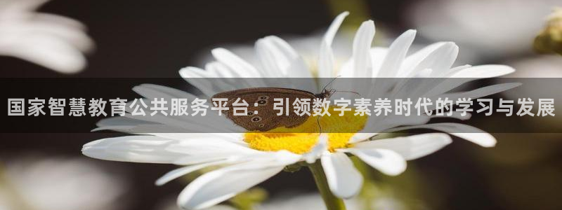 新航娱乐旗下艺人列表：国家智慧教育公共服务平台：引领数字素养