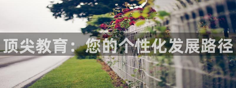 新航路开辟中的娱乐：顶尖教育：您的个性化发展路径