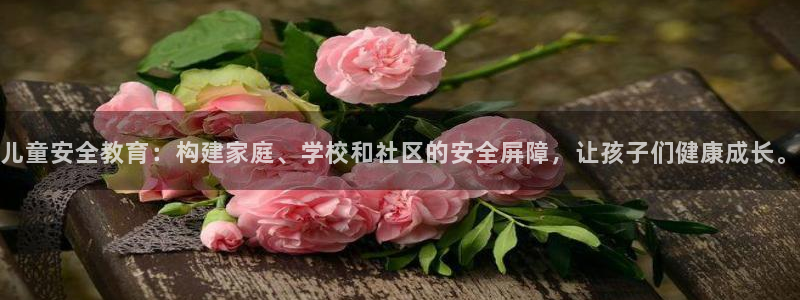 德阳娱乐城最新航拍：儿童安全教育：构建家庭、学校和社区的安全