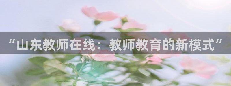 新航娱乐app官方下载：“山东教师在线：教师教育的新模式”