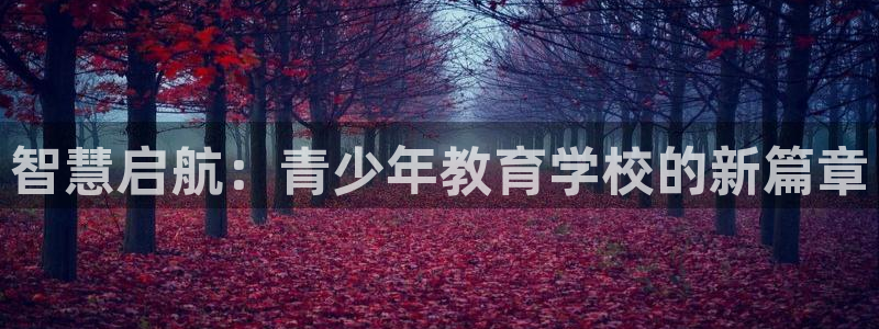 新航海娱乐会所怎么样：智慧启航：青少年教育学校的新篇章