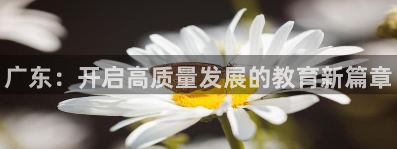 新航娱乐平台官网：广东：开启高质量发展的教育新篇章