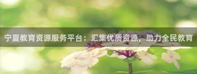 娱乐新航母：宁夏教育资源服务平台：汇集优质资源，助力全民教育
