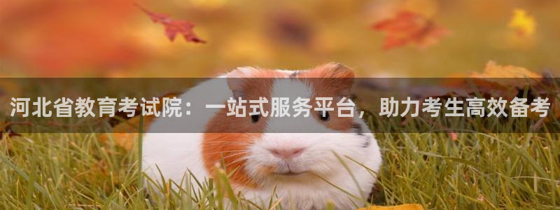 新航娱乐公司旗下艺人：河北省教育考试院：一站式服务平台，助力