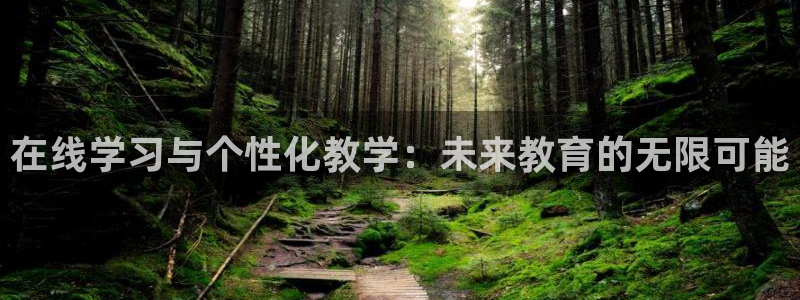 邯大新航娱乐：在线学习与个性化教学：未来教育的无限可能