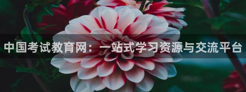 新航娱乐公司旗下艺人：中国考试教育网：一站式学习资源与交流平