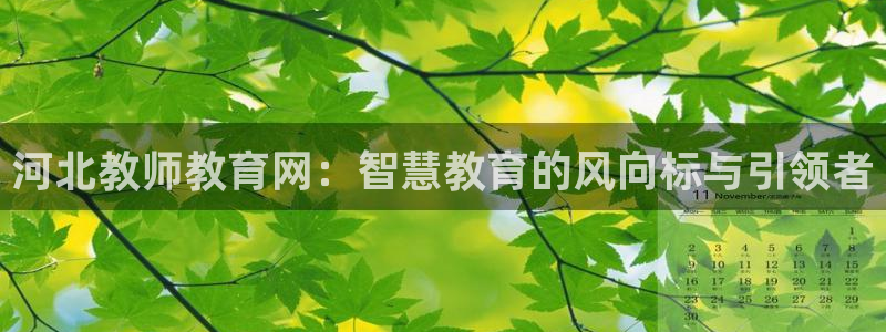 新航娱乐平台登录入口：河北教师教育网：智慧教育的风向标与引领