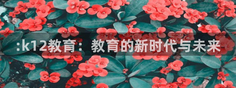 新航娱乐有限公司地址：:k12教育：教育的新时代与未来