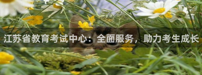 新航娱乐传媒怎么样知乎：江苏省教育考试中心：全面服务，助力考