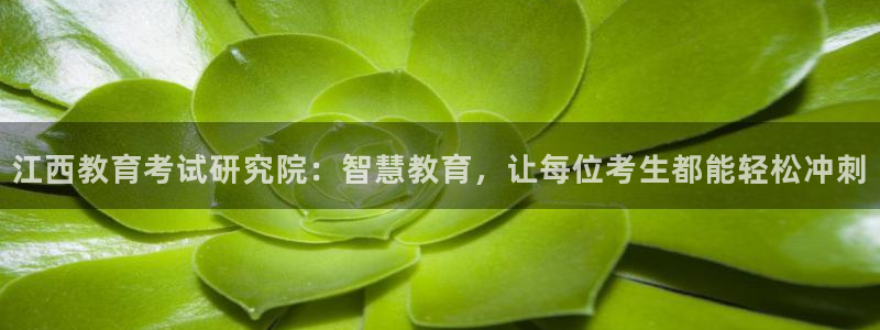 新航娱乐主管是谁：江西教育考试研究院：智慧教育，让每位考生都