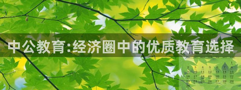 新航线娱乐会所：中公教育:经济圈中的优质教育选择