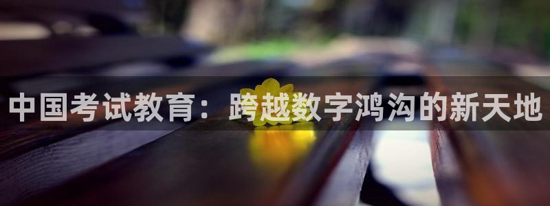 新航娱乐公司简介：中国考试教育：跨越数字鸿沟的新天地