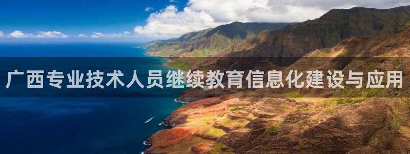 新航娱乐有方法开挂吗：广西专业技术人员继续教育信息化建设与应