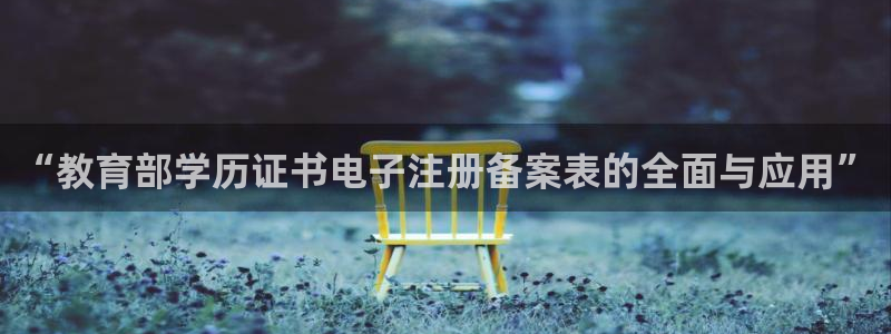 新航娱乐官网登录入口：“教育部学历证书电子注册备案表的全面与