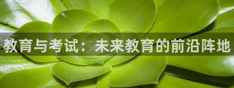 新航娱乐登录：教育与考试：未来教育的前沿阵地