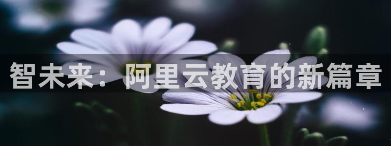 岛城娱乐新航向：智未来：阿里云教育的新篇章