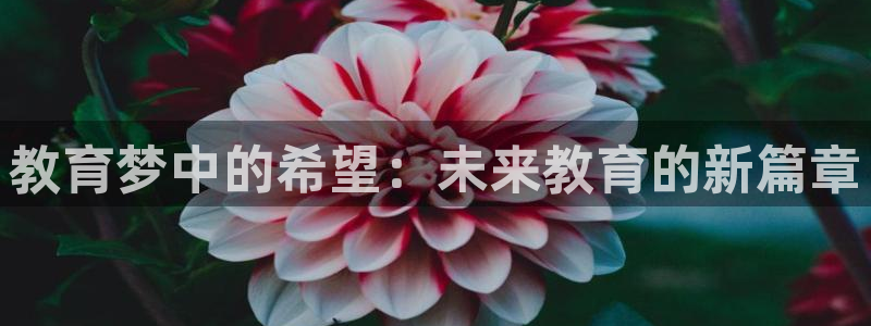 新航娱乐登录大厅：教育梦中的希望：未来教育的新篇章