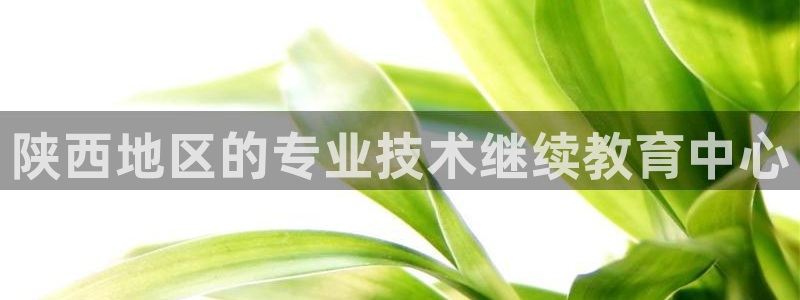 新航娱乐平台登录入口：陕西地区的专业技术继续教育中心