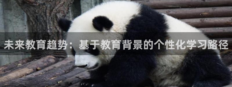 新航娱乐招商：未来教育趋势：基于教育背景的个性化学习路径