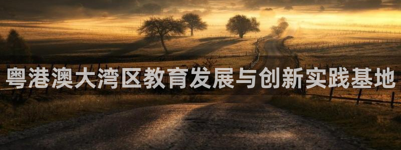 新航娱乐是正规平台吗：粤港澳大湾区教育发展与创新实践基地