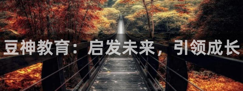 新航娱乐开户：豆神教育：启发未来，引领成长