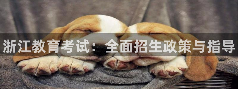 新航娱乐扣款