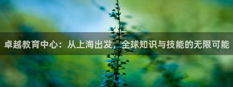 新航娱乐有限公司地址：卓越教育中心：从上海出发，全球知识与技
