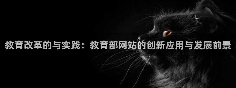 开启娱乐新航线：教育改革的与实践：教育部网站的创新应用与发展