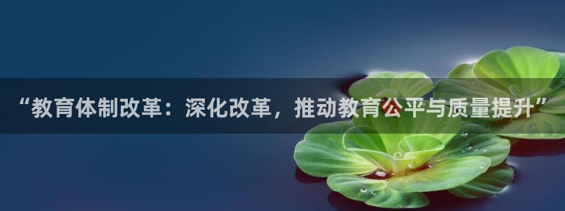 新航娱乐传媒：“教育体制改革：深化改革，推动教育公平与质量提