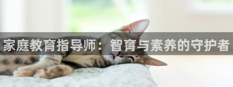 新航娱乐的创始人背景：家庭教育指导师：智育与素养的守护者