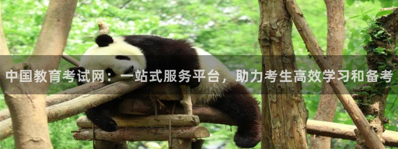 新航娱乐公司问题解决：中国教育考试网：一站式服务平台，助力考