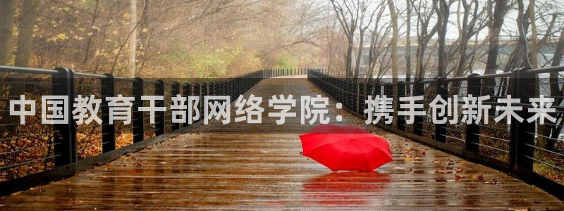 新航娱乐公司简介资料：中国教育干部网络学院：携手创新未来