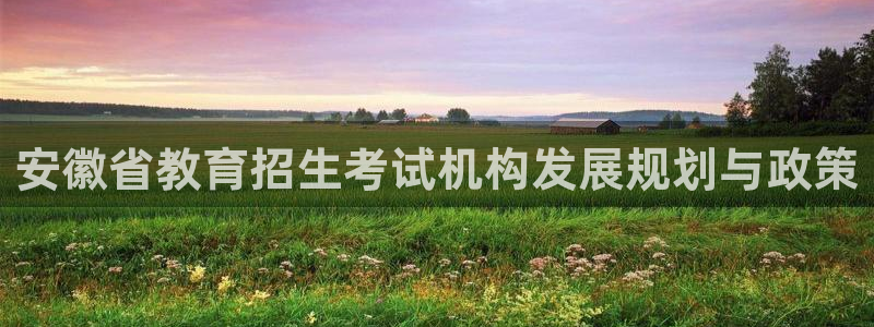 新航娱乐的创始人简介：安徽省教育招生考试机构发展规划与政策