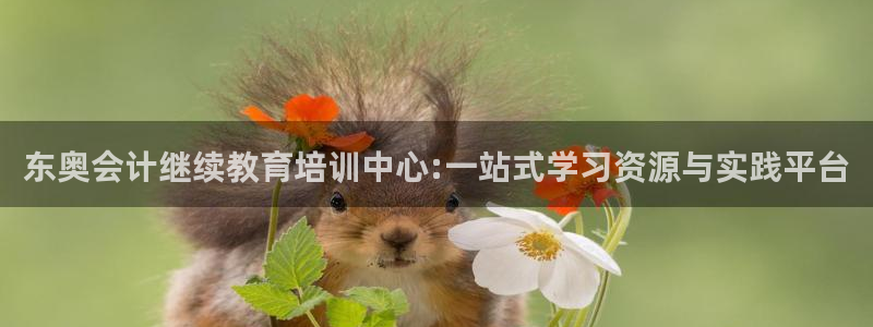 新航娱乐是正规平台吗：东奥会计继续教育培训中心:一站式学习资