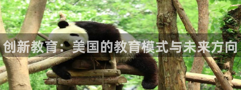 新航娱乐传媒招聘电话：创新教育：美国的教育模式与未来方向