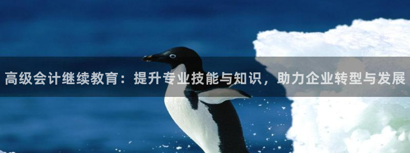 新航娱乐招商Q：高级会计继续教育：提升专业技能与知识，助力企