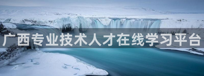 新航娱乐公司招聘信息：广西专业技术人才在线学习平台